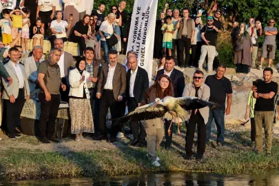 Bursa'da doğayla iç içe bir şenlik... Leylek Şenliği'ne coşkulu start