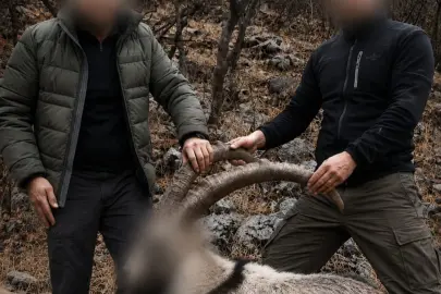 6 yıl önceki kaçak avın failleri tespit edildi! 5 yaban keçisi için ceza uygulandı