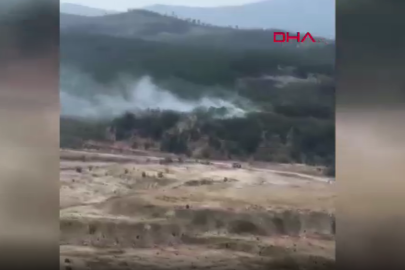 Bursa'da orman yangını çıktı. Ekipler müdahale ediyor