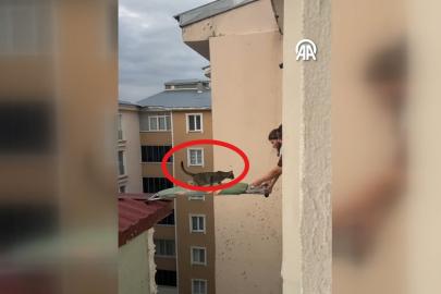Çatıda mahsur kalan kediyi ütü masasıyla kurtardılar