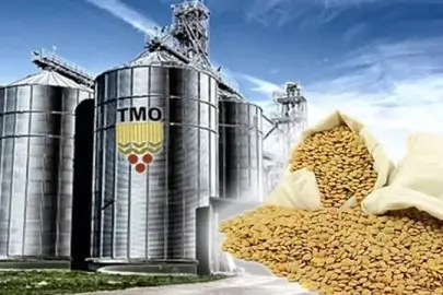 TMO’dan üreticilere 6,3 milyar liralık ödeme